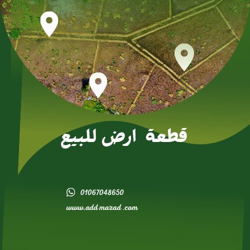 ارض -حى النور